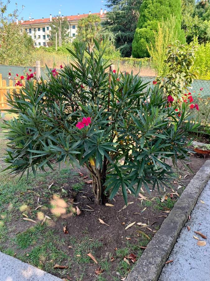 Ferienwohnung A Casa Vermella Con Jardin A 10 Minutos De Santiago De Compostela Ortono Exterior foto