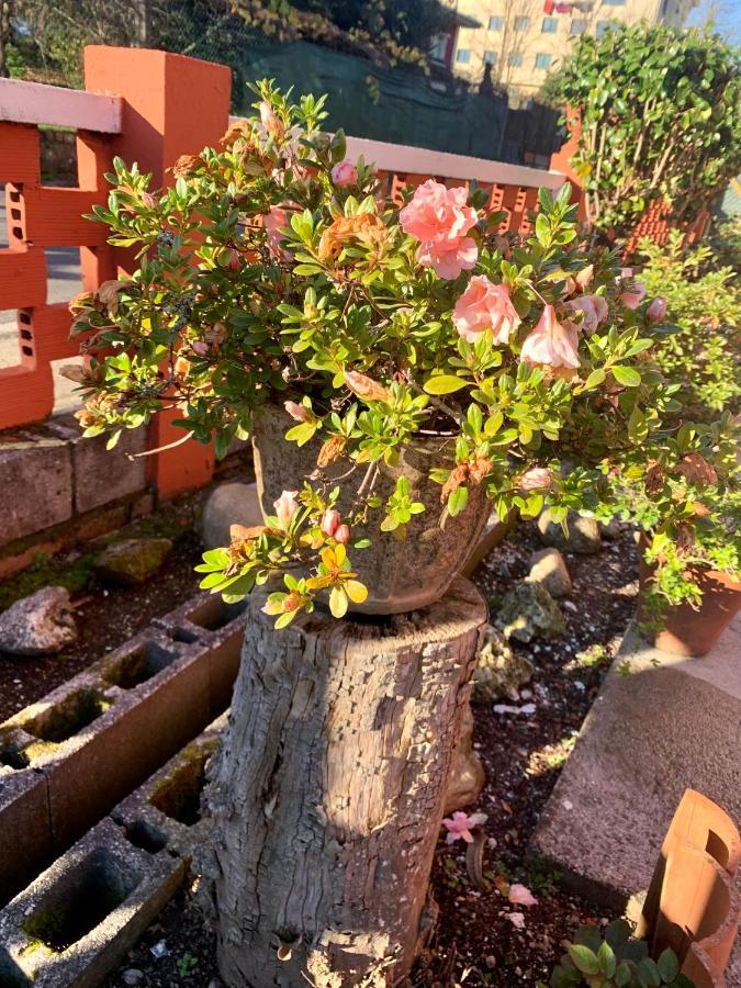 Ferienwohnung A Casa Vermella Con Jardin A 10 Minutos De Santiago De Compostela Ortono Exterior foto